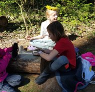 obrazek whatsapp 2024-05-08 v 12.15.17_ebeaa11a